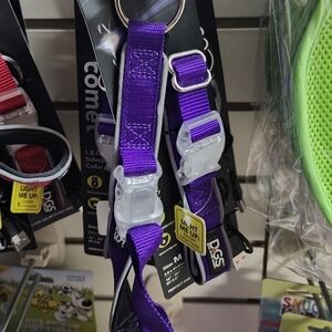 LED Purple Collar Medium